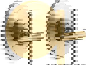 Single Handle Volume Control Valve Trim in Vibrant Brushed Moderne Brass